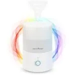 HealthSense Cool Mist Humidifier for Room Moisture review