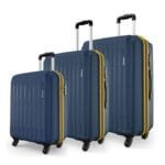 Safari Genius Alley Set of 3